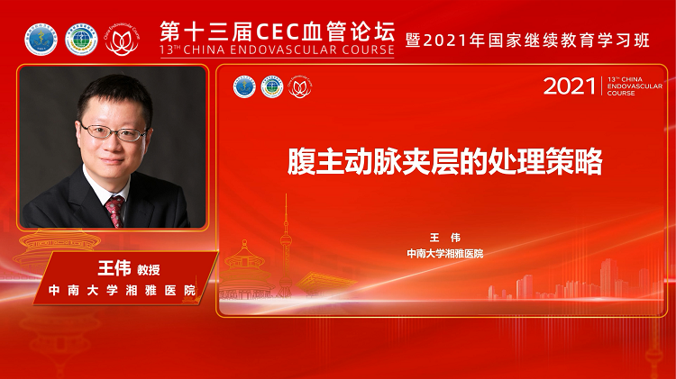 腹主动脉夹层的处理策略及个性化治疗-王伟