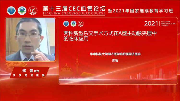 两种新型杂交手术方式在A型主动脉夹层中的临床应用-郑智