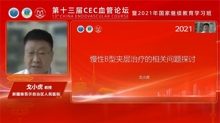 慢性B型夹层治疗的相关问题探讨-戈小虎