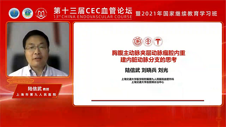 胸腹主动脉夹层动脉瘤腔内重建内脏动脉分支的思考-陆信武
