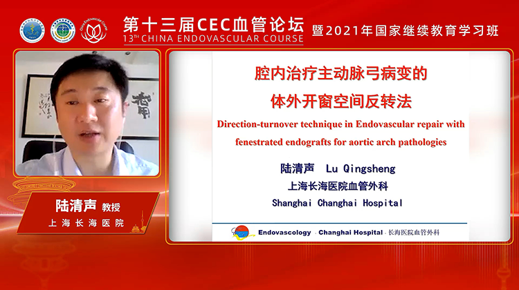 空间翻转法应用于挑战主动脉夹层治疗-陆清声 