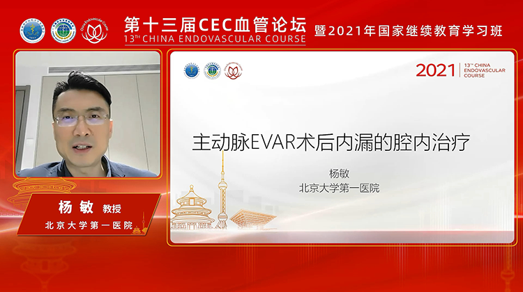 腹主动脉瘤腔内修复术II型内漏的防治-杨敏