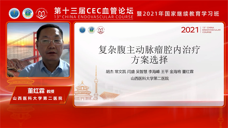 复杂胸腹主动脉瘤全腔内方案选择-董红霖