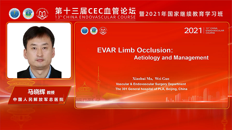 EVAR术后髂支闭塞的病因分析及治疗策略探讨-马晓辉 