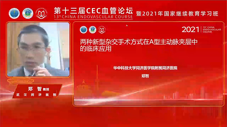 两种新型杂交手术方式在A型主动脉夹层中的临床应用-郑智