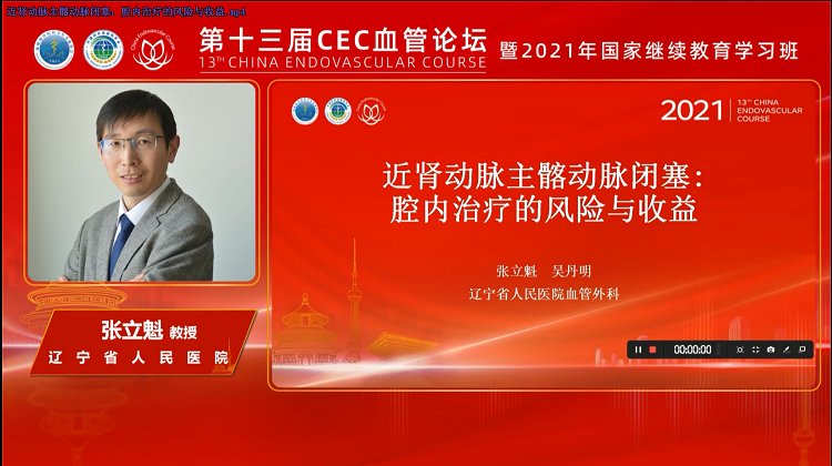 近肾动脉主髂动脉闭塞：腔内治疗的风险与收益-张立魁