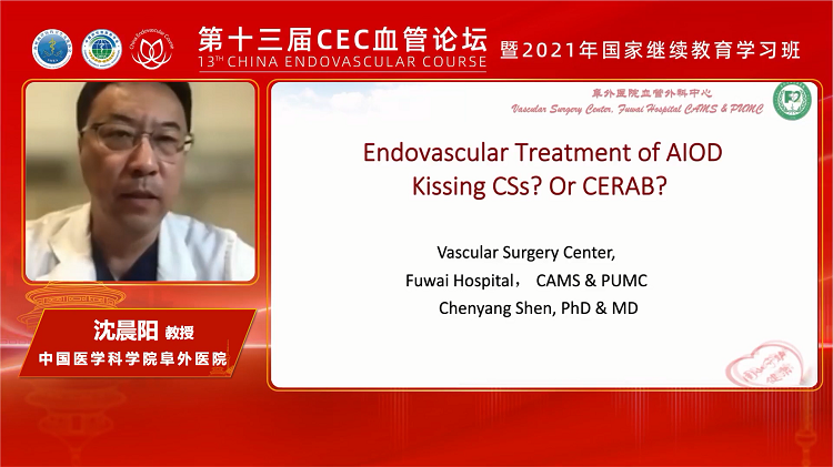 主髂动脉闭塞的腔内重建：Kissing CSs  OR CERAB？-沈晨阳 
