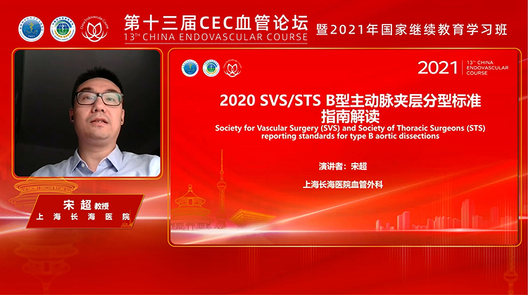 2020 SVS / STS B型主动脉夹层分型标准指南解读-宋超