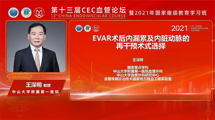 EVAR术后内漏累及内脏动脉的再干预术式选择-王深明