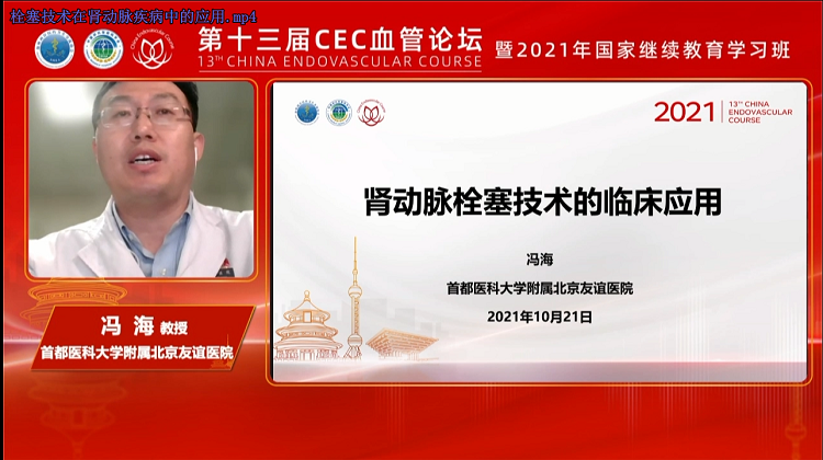 栓塞技术在肾动脉疾病中的应用-冯海