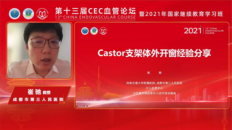 Castor&reg;支架体外开窗在主动脉夹层中的应用-崔驰