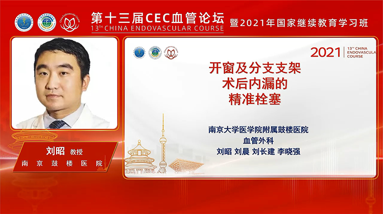 开窗及分支支架术后内漏的精准栓塞-刘昭