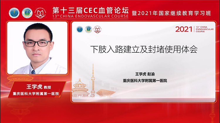 下肢通路建立及封堵器单中心经验-王学虎