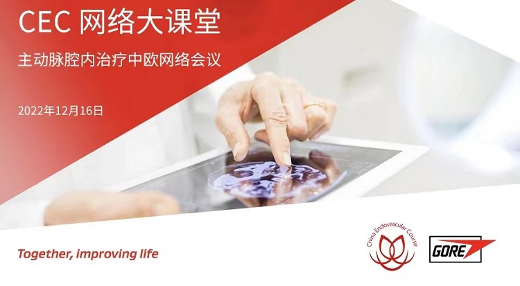 主动脉腔内治疗中欧网络会议