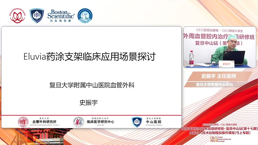 Eluvia药涂支架临床应用场景探讨-史振宇