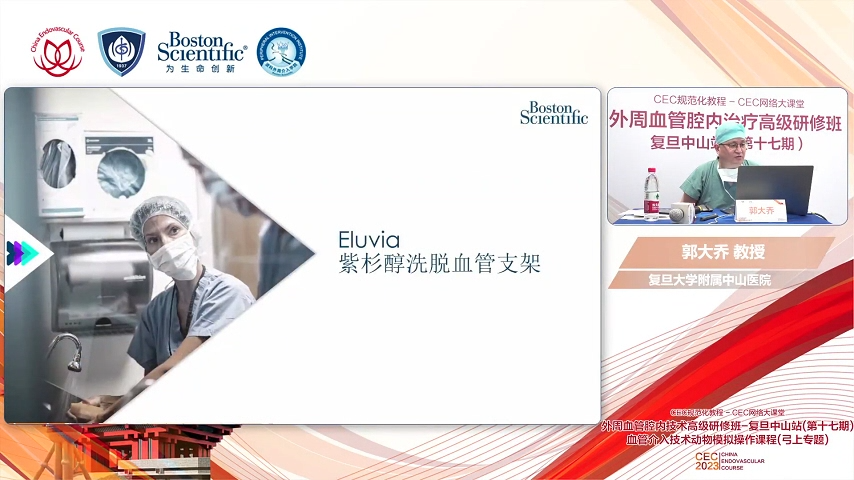 Eluvia紫杉醇洗脱血管支架-郭大乔