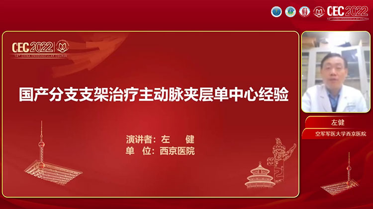 国产分支支架治疗主动脉夹层单中心经验-左健