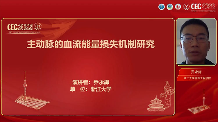 主动脉的血流能量损失机制研究-乔永辉