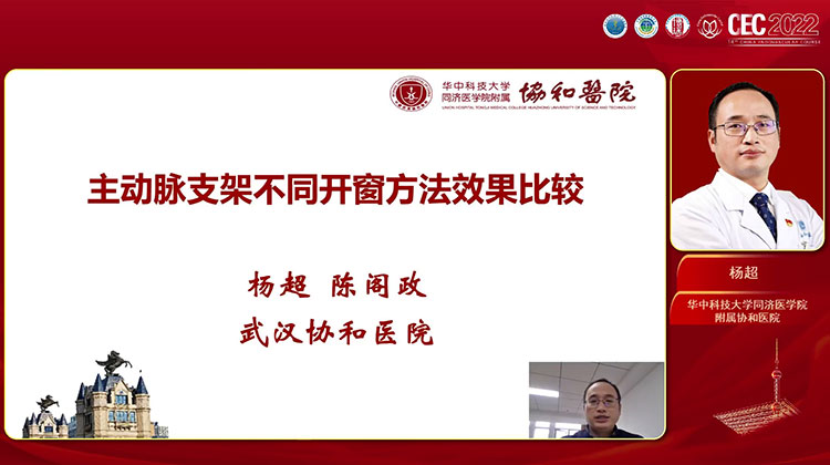 主动脉支架不同开窗方法效果比较-杨超
