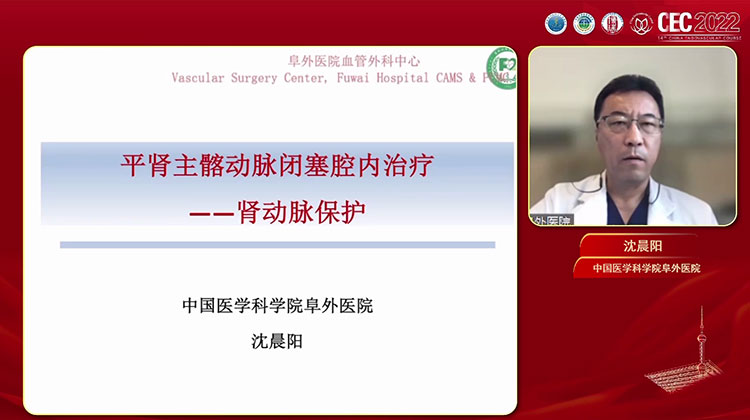 平肾主髂动脉闭塞症腔内治疗中的肾动脉保护-沈晨阳