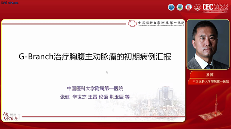 G-branch治疗胸腹主动脉瘤的初期病例汇报-张健