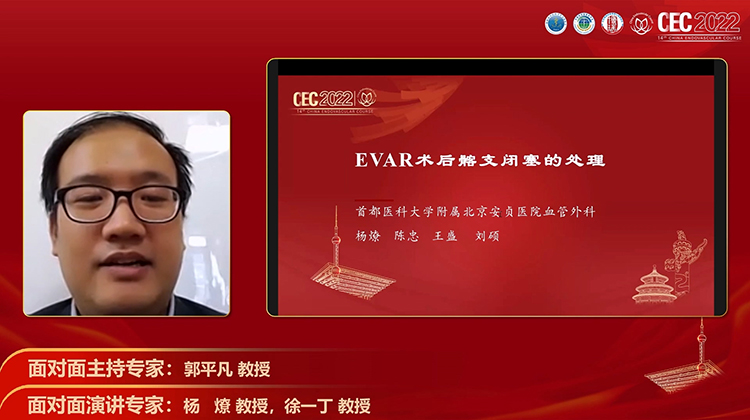 EVAR术后髂支闭塞的处理-杨燎