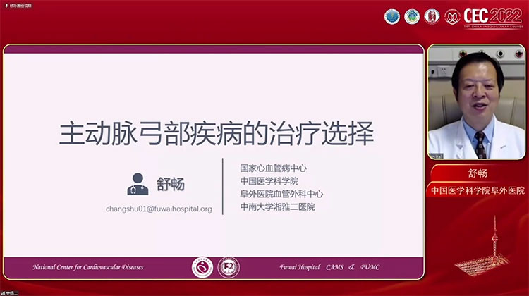 主动脉弓部病变的治疗方法选择-舒畅