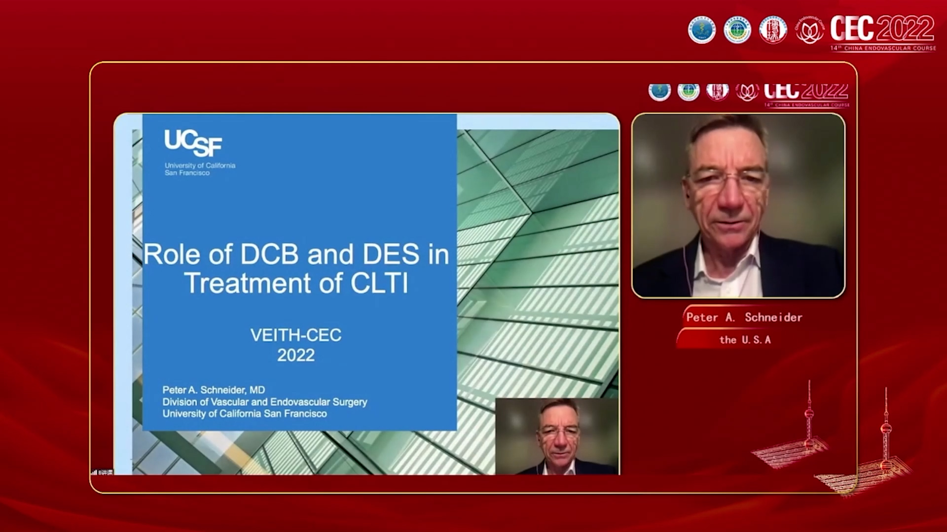 The role of DCB and DES in treatment of CLTI-Peter Schneider