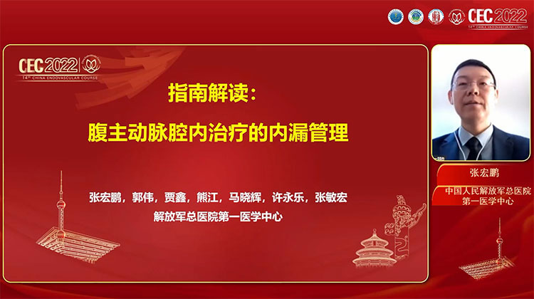 指南解读：腹主动脉腔内治疗的内漏管理-张宏鹏