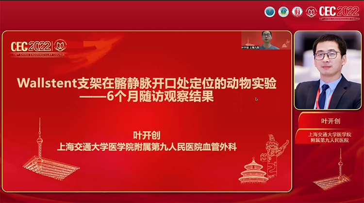 Wallstent支架在髂静脉开口处定位的动物实验&mdash;&mdash;6个月随访观察结果-叶开创