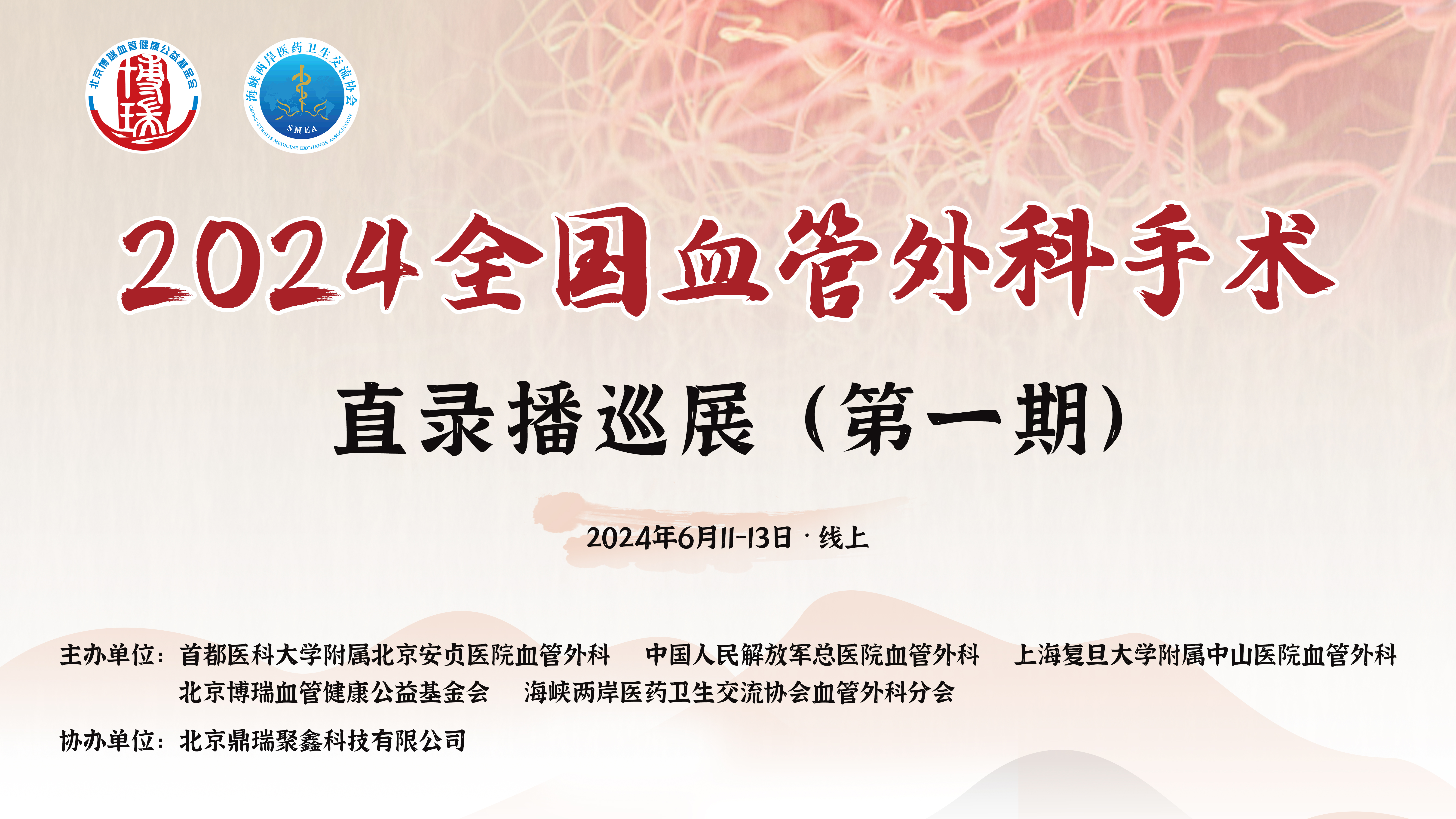 全国血管外科周