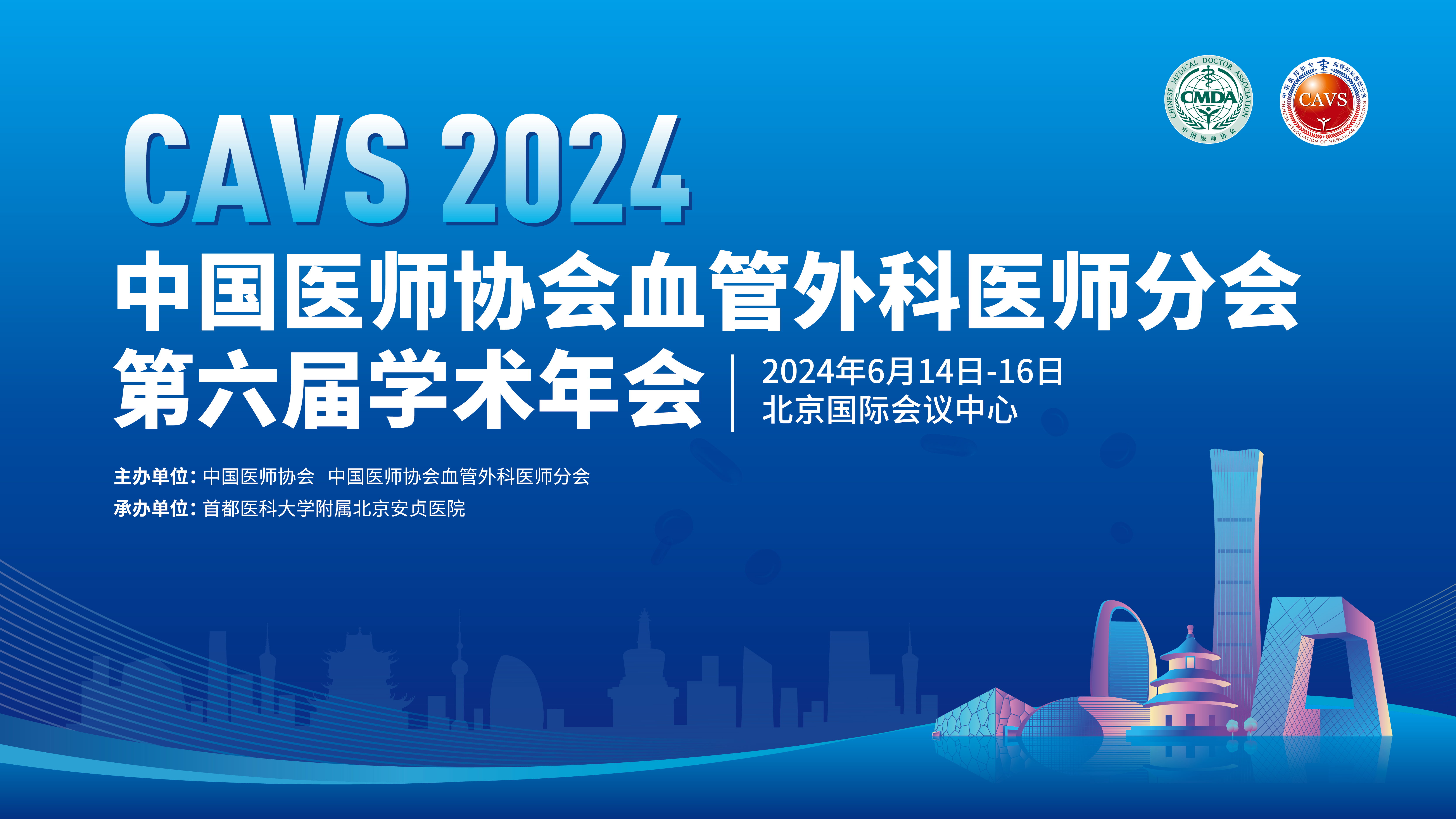 中国医师协会血管外科医师分会第六届学术年会